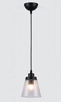 Светильник подвесной Rivoli Лофт-Кантри Spartacus P1 BK E27 Черный картинка 
